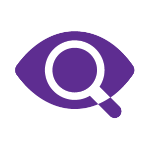 icon of an eye with a magnifying glass